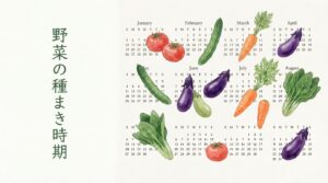 野菜の種まき時期一覧｜地域別30種類のカレンダー