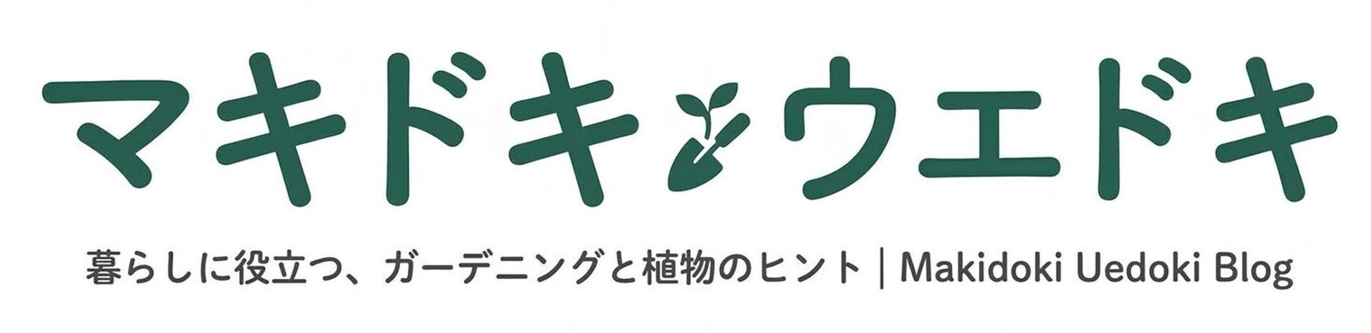 マキドキ
